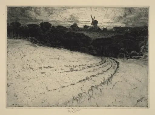 Morning, Canonicut Island