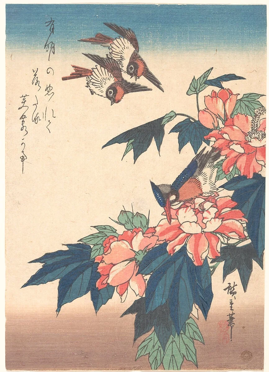 紅蜀葵に燕と川蝉図|Swallows and Kingfisher with Rose Mallows, by Utagawa Hiroshige, ink, 1838