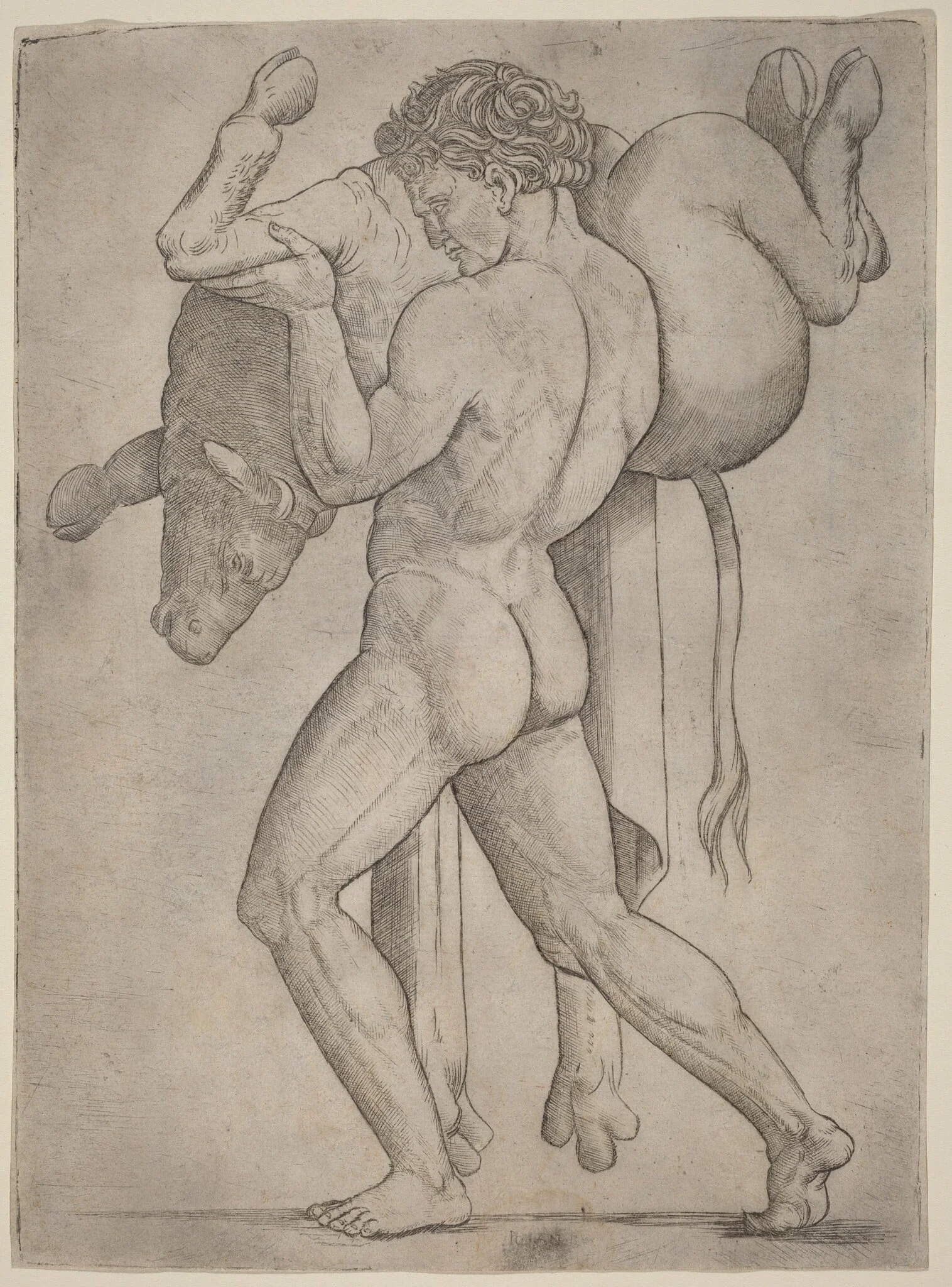 Hercules and the Cretan Bull, by Giovanni Antonio da Brescia, ink, 1514