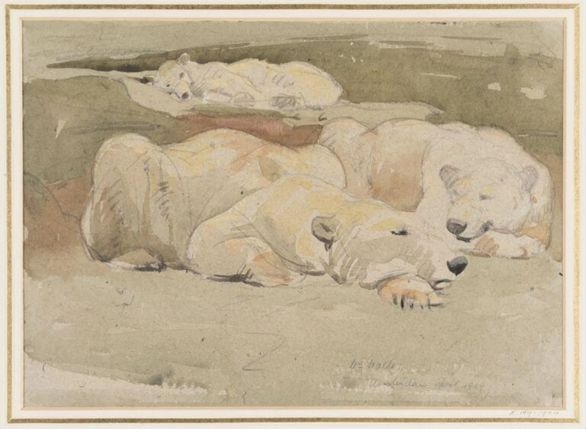Polar Bears asleep, by William Walls, watercolor, 1909