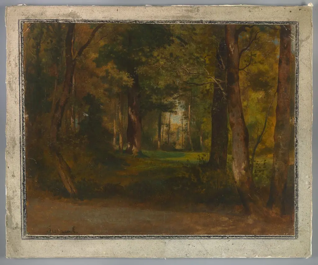 Forest