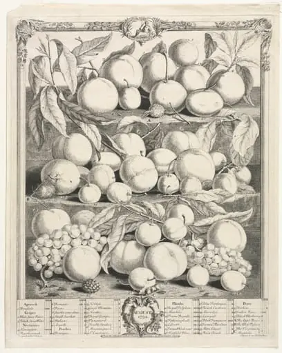 Twelve Months of Fruit:  August