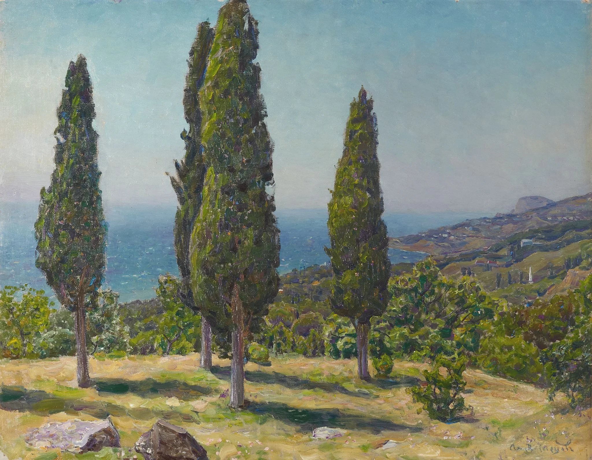 cypresses. Crimea