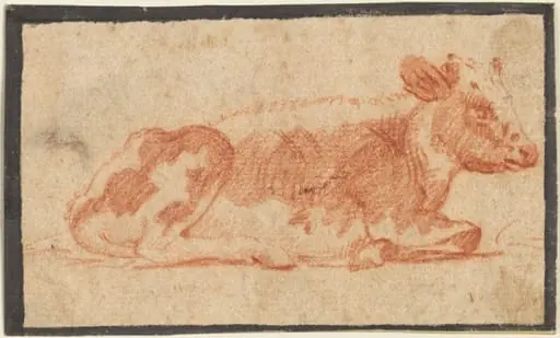 Cow