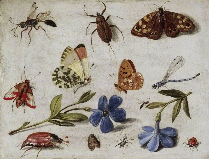Insects, by Jan van Kessel the Elder, oil, 1662