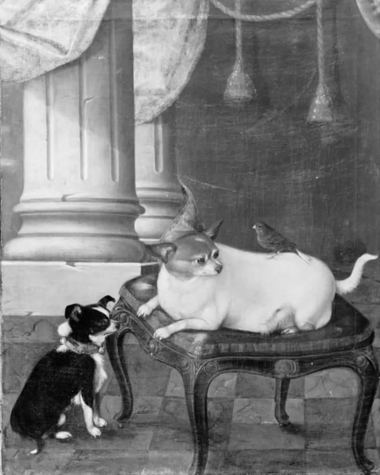 En hvid hund ligger på en blå pude på en stol, en sort med hvide pletter sidder nedenfor, by Unknown, 1750