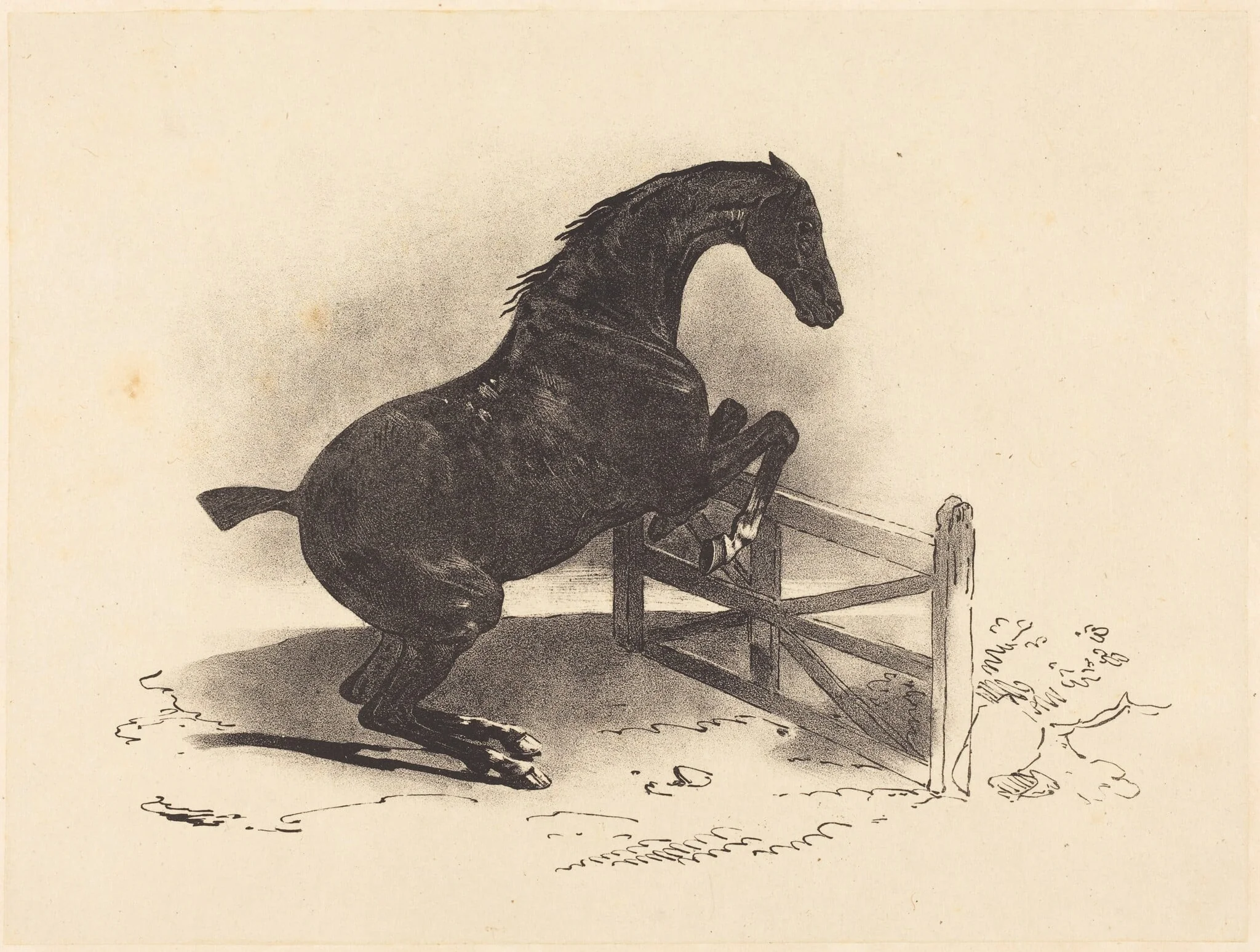 Horse Jumping a Barrier, by Louis-Pierre-Marie Courtin, ink, 1823