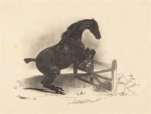Horse Jumping a Barrier