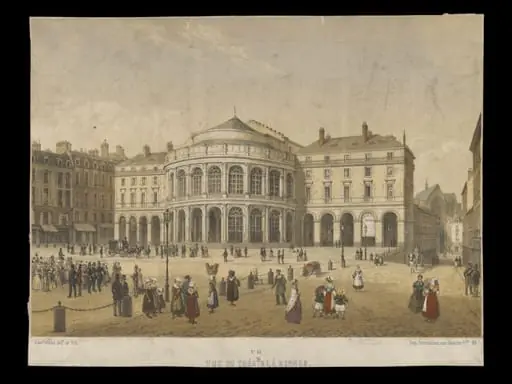 H Beard Print Collection
