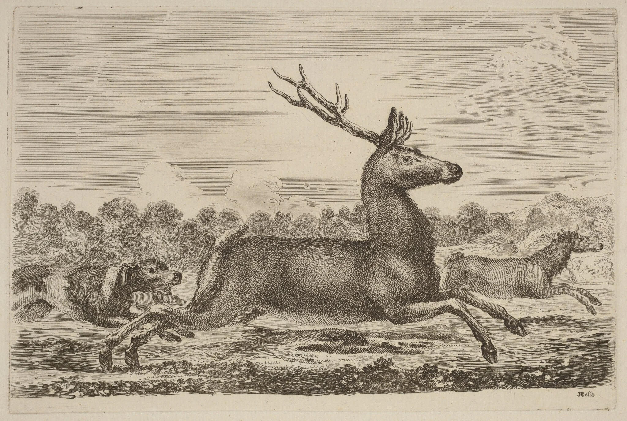 Deer Chased by Two Dogs to the Left, by Stefano Della Bella, ink, 1637