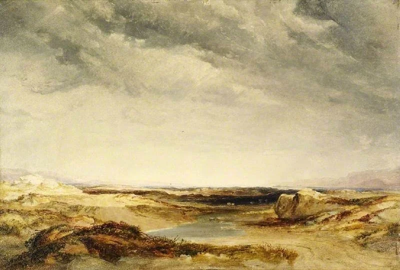 A heath near the coast