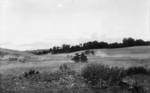 Evening Landscape
