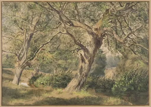 Study of Trees, 1852