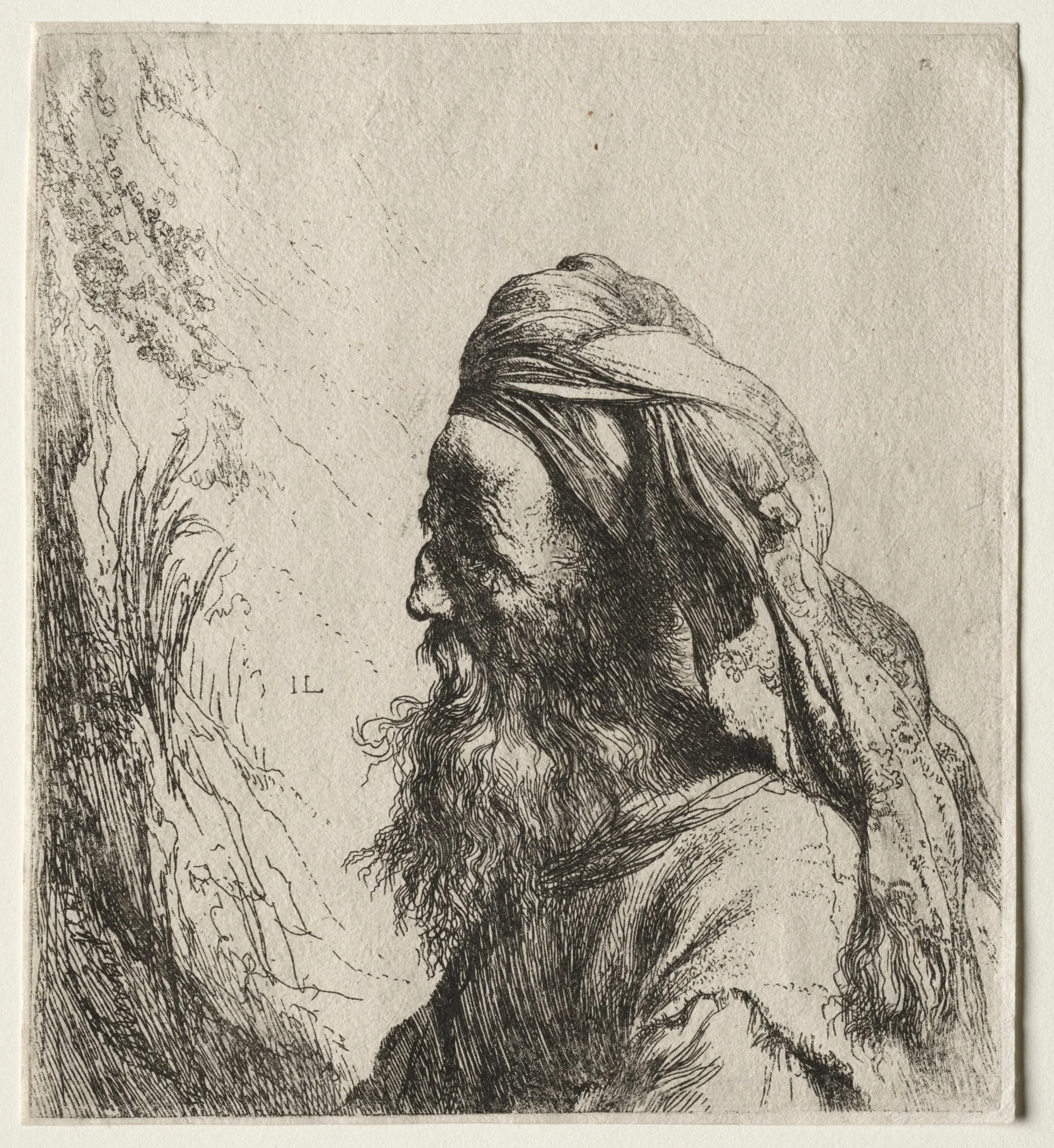 Head of an Oriental, by Jan Lievens, 1604