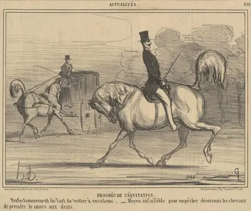 Progrès de l'équitation