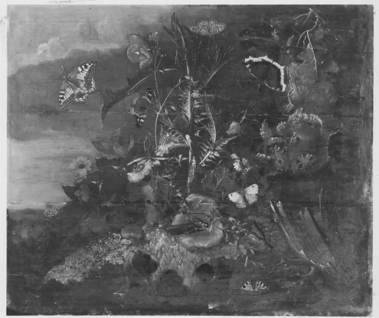 Q29906718