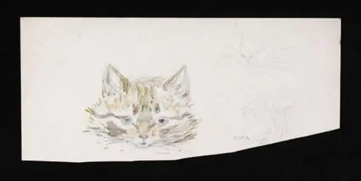 Studies of a cat