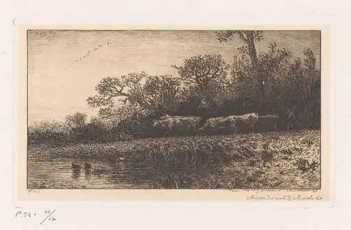 Cattle at Dusk