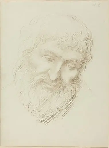 Head of a Man