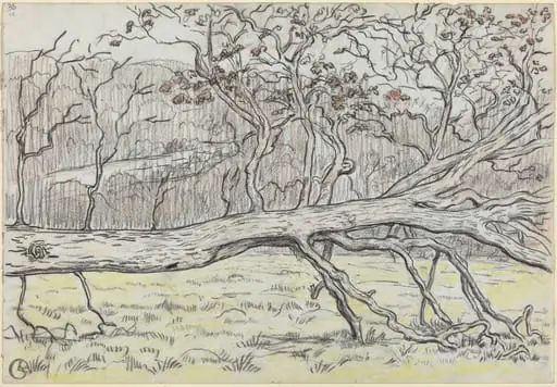 Felled Tree, Normandy
