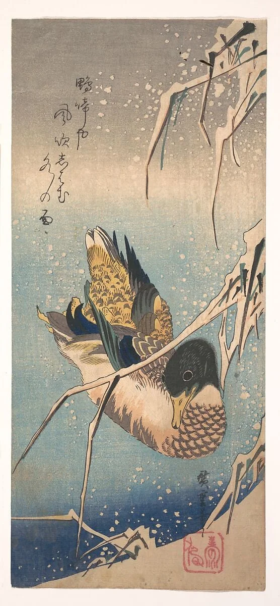 雪中芦に鴨|A Wild Duck near a Snow-laden Shore, by Utagawa Hiroshige, ink, 1843
