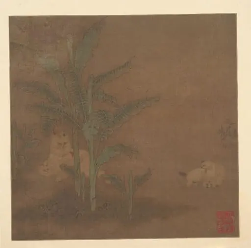 明  佚名  貍奴芭蕉圖  冊頁|Frolicking Kittens under a Banana Tree