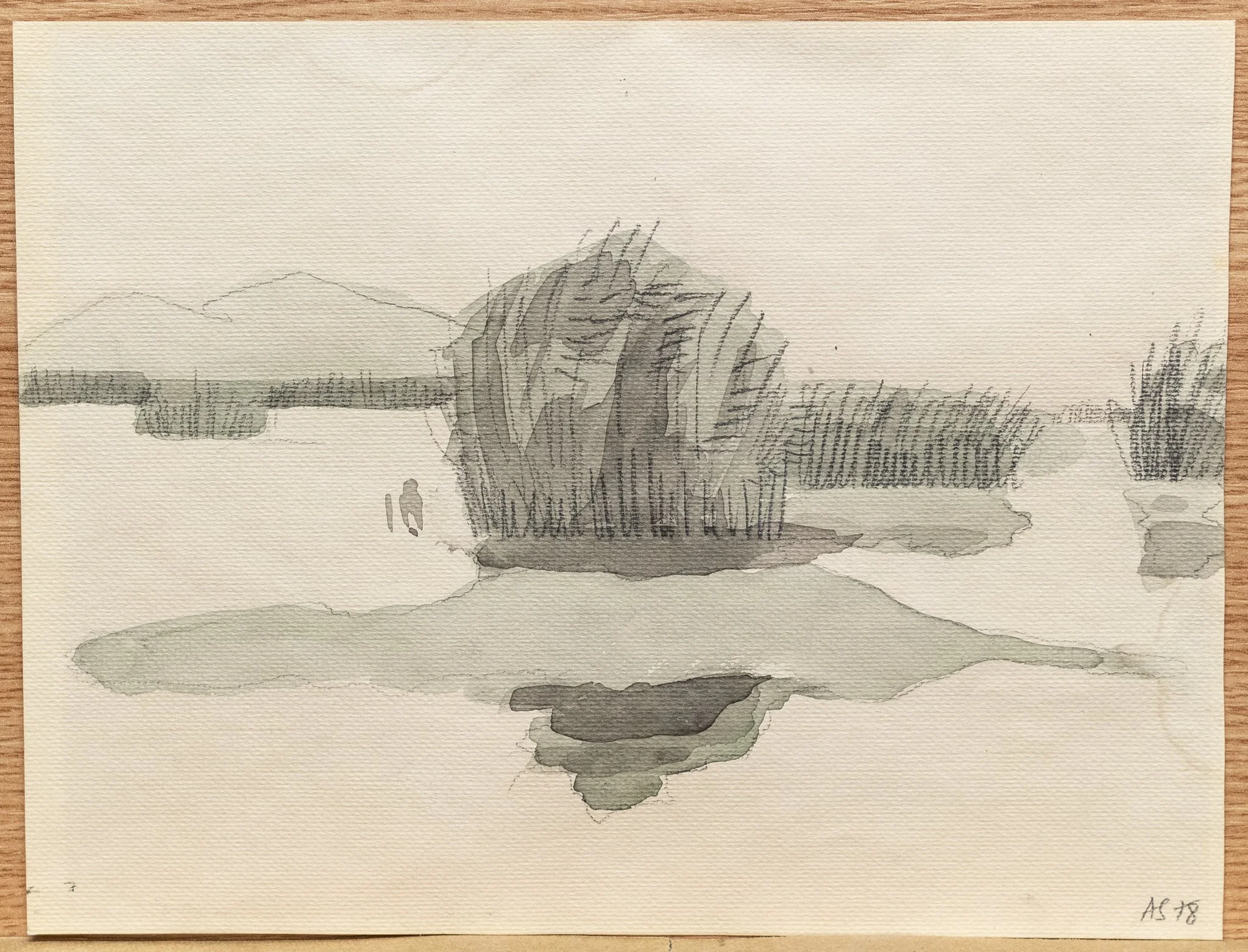 Delta, by Ana Maria Smigelschi, unspecified, 1950
