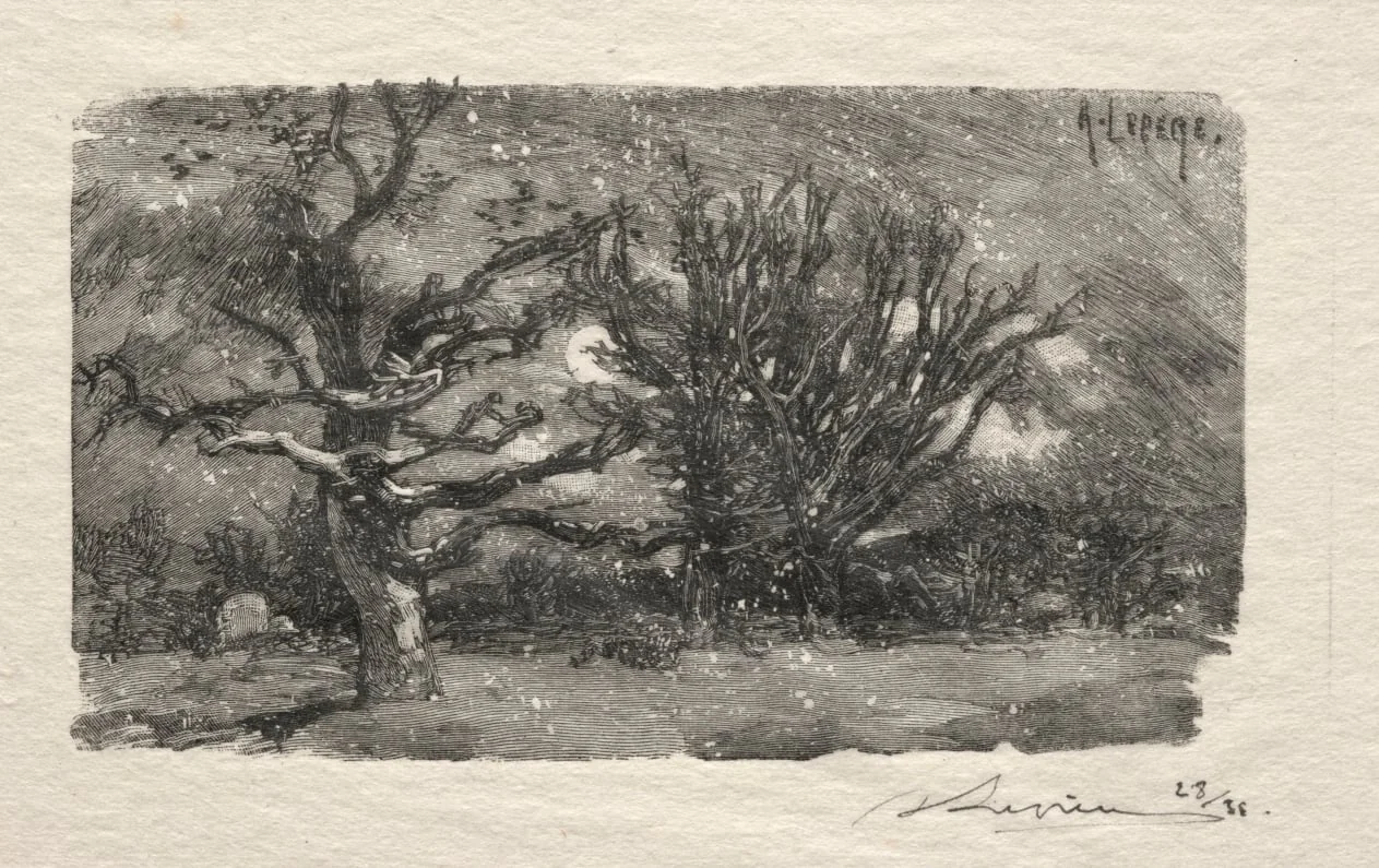 Au dormoir de Lantara, by Auguste Lepère, 1894