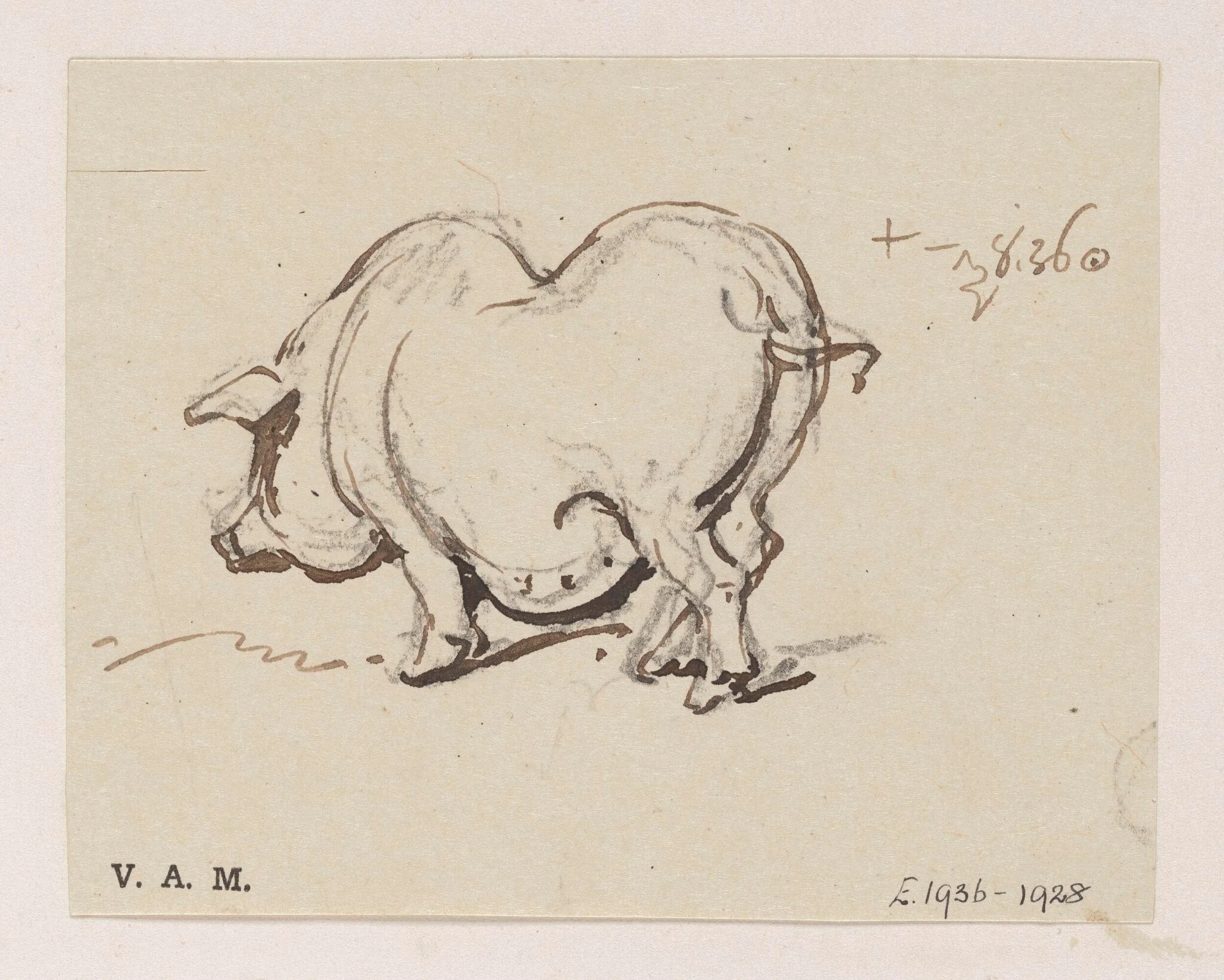 A pig, by George Chinnery, 10