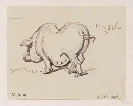 A pig