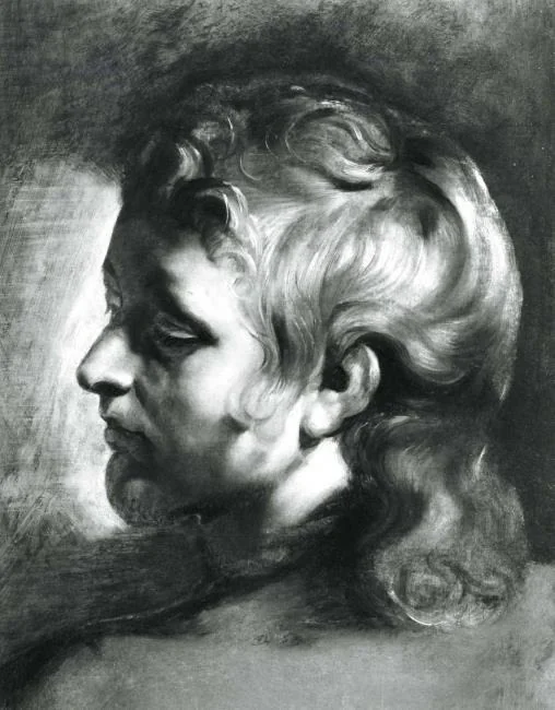 Study of the head of a young man turned to the left, 1611-1612, by Peter Paul Rubens, oil, 1612