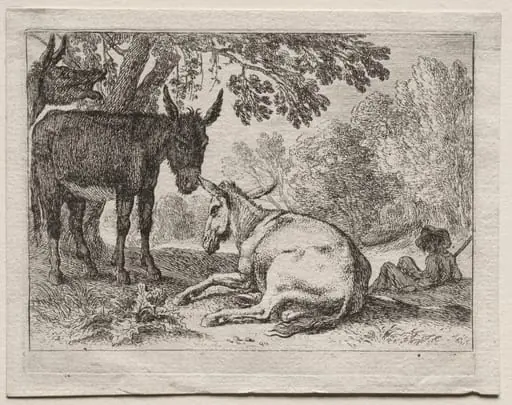 Animals in Landscapes: Donkeys