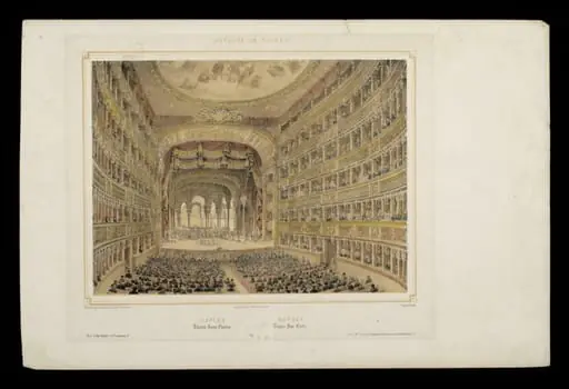 H Beard Print Collection