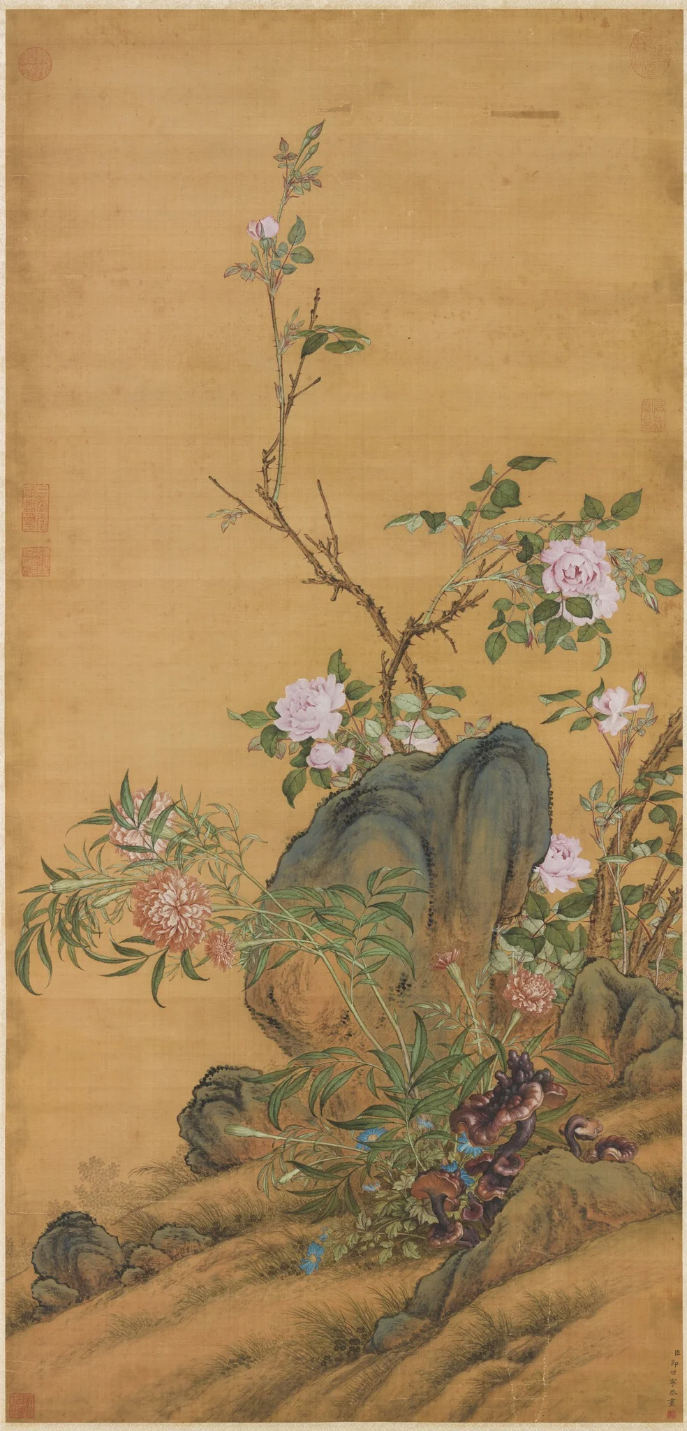 Myriad Longevities in an Everlasting Spring