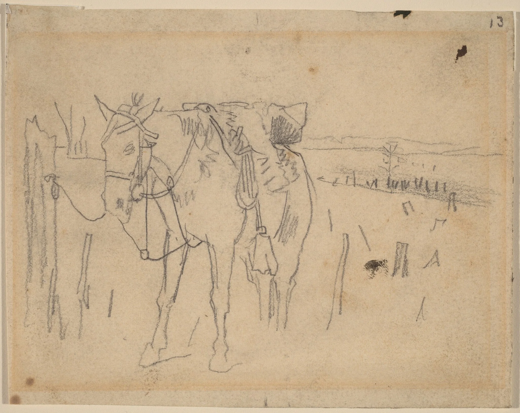 Tethered, by Winslow Homer, graphite, 1864