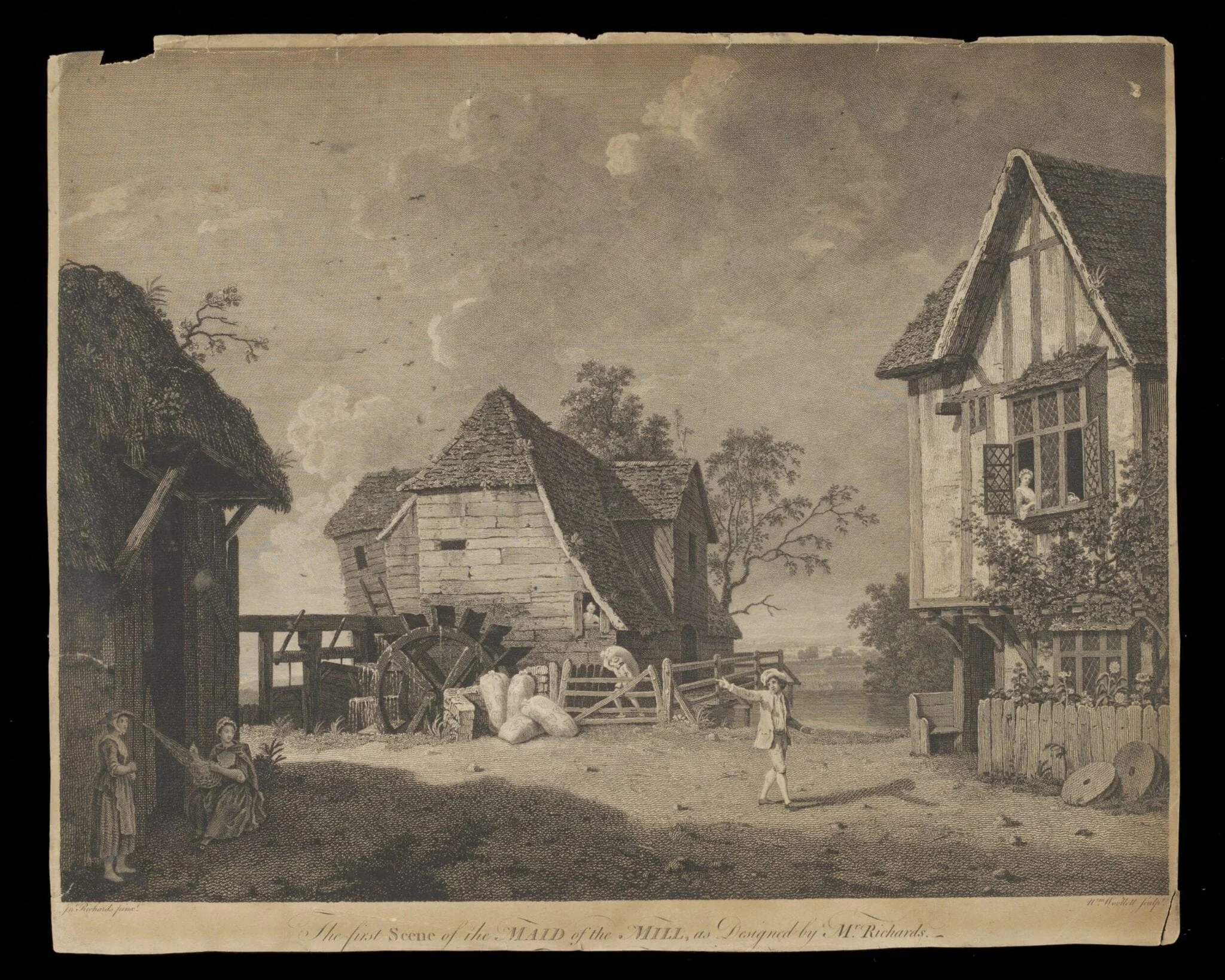 H Beard Print Collection