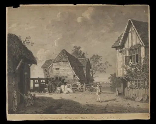 H Beard Print Collection