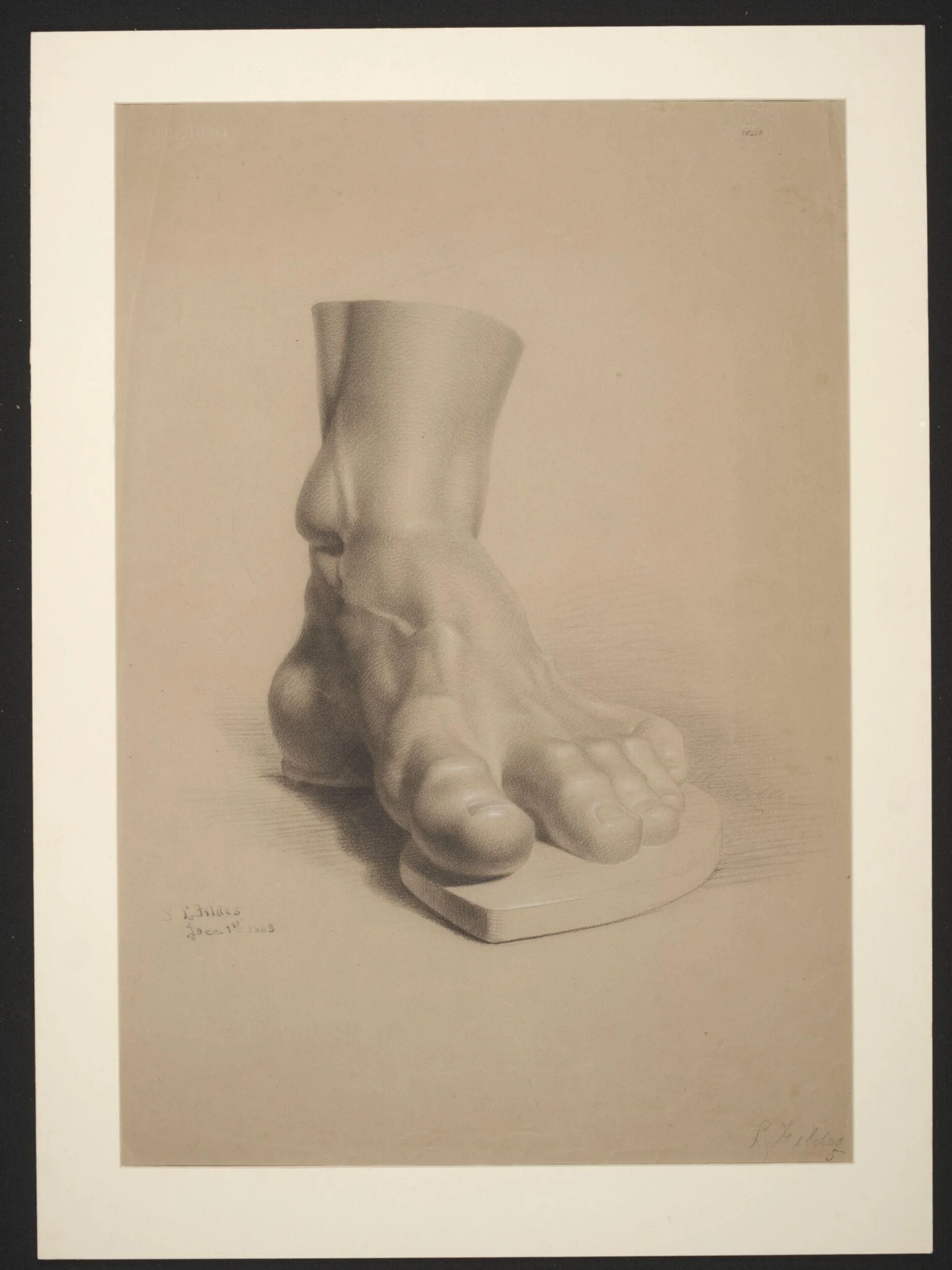 Study of a plaster cast of the foot of the Farnese Hercules, by Luke Fildes, 1863