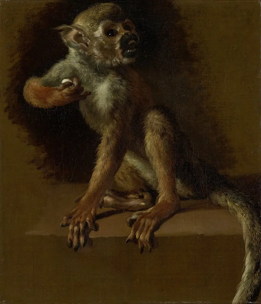 A Seated Monkey