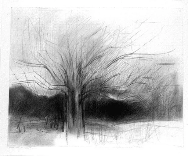 Untitled, by Jake Berthot, charcoal, 1998