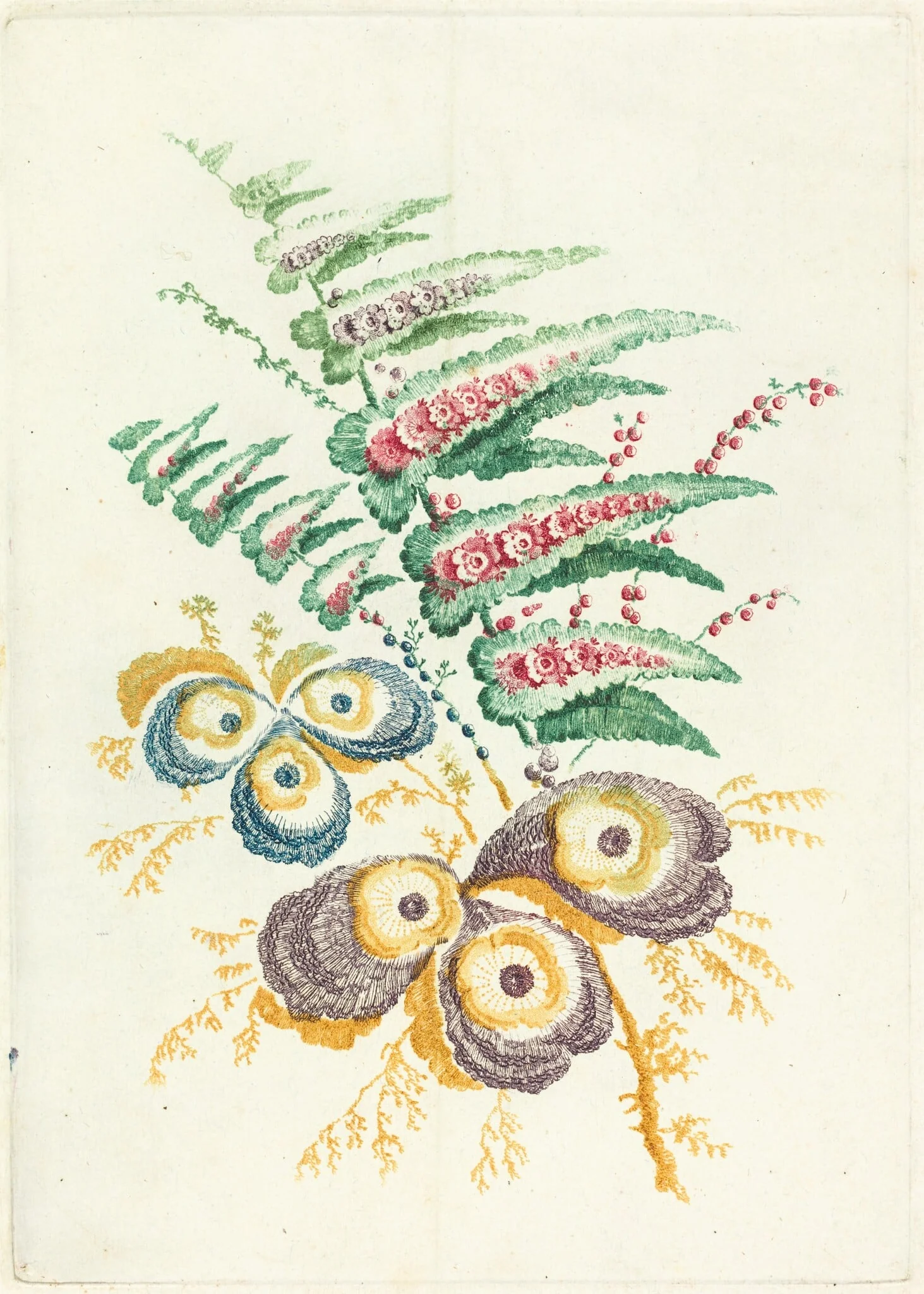 Fantastic Flowers with Oyster-shell Blossoms, by Anne Allen, ink, 1795