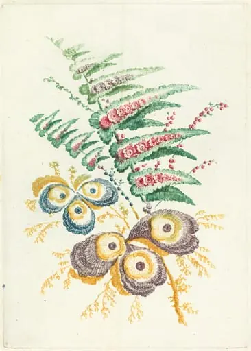 Fantastic Flowers with Oyster-shell Blossoms