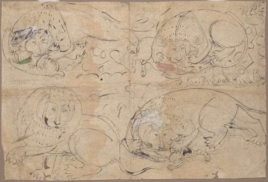 Studies of a Lion Killing Prey