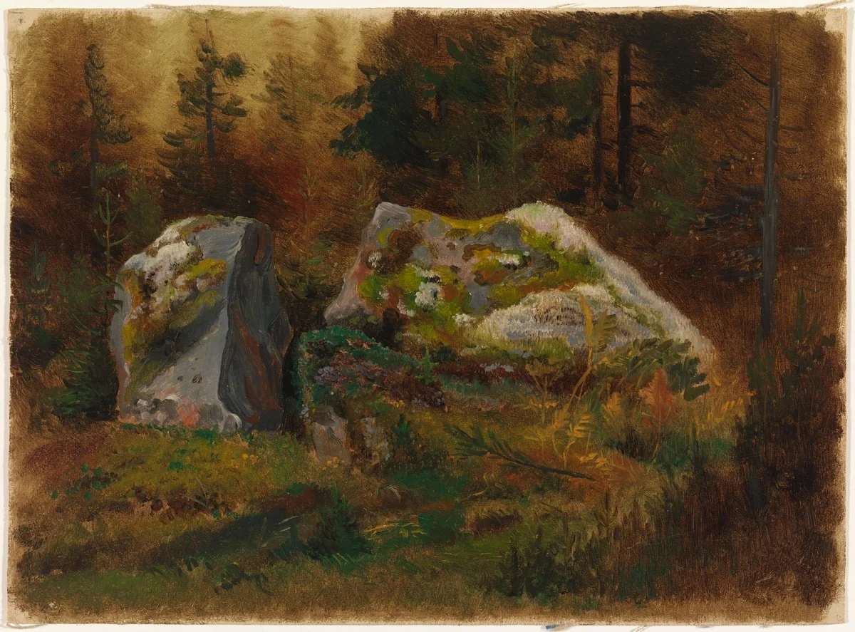 Sammaleisia kiviä metsässä, by Johan Knutson, unspecified, 1866