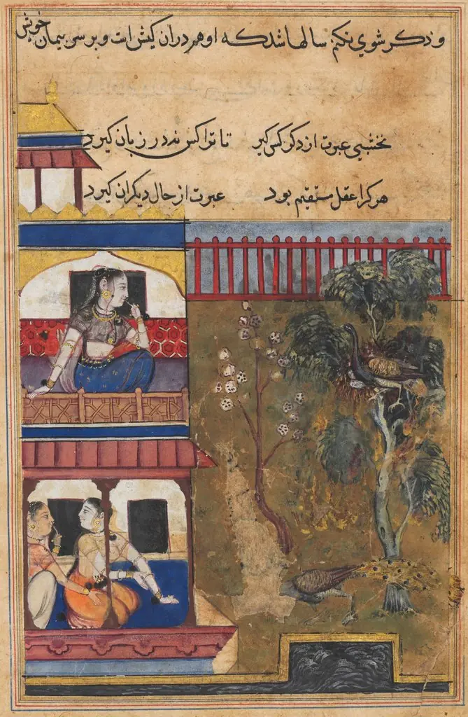 The queen of Rum watches the peahen prefer to burn rather than abandon her eggs while the peacock flees the nest, from a Tuti-nama (Tales of a Parrot): Thirty-ninth Night