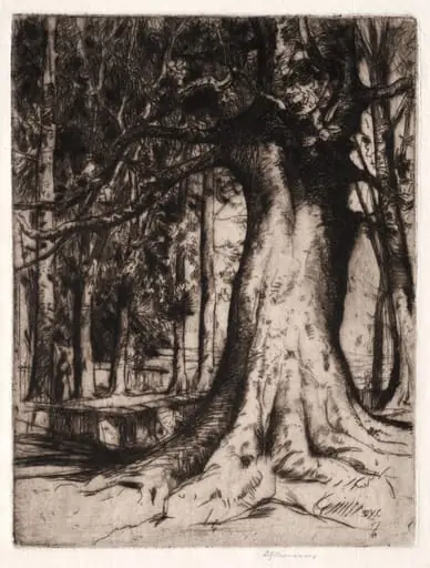 The Sycamore