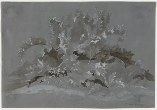 Study of Weeds