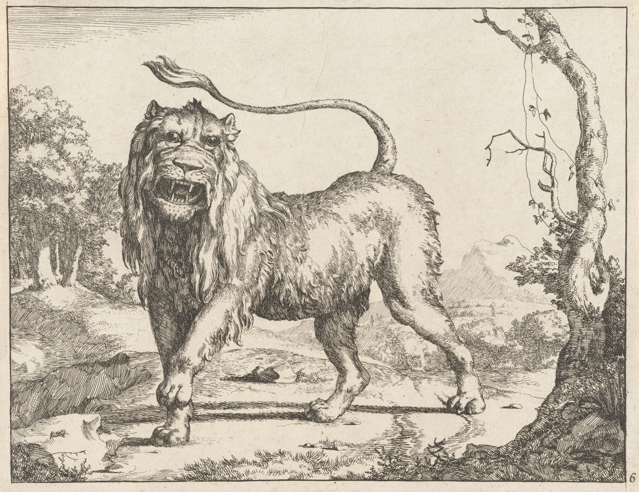 Lion