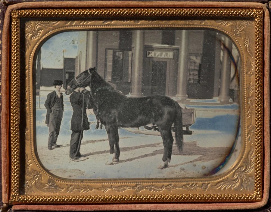 Prize Horse in winter, Chemung County, New York, by Unknown, 1854