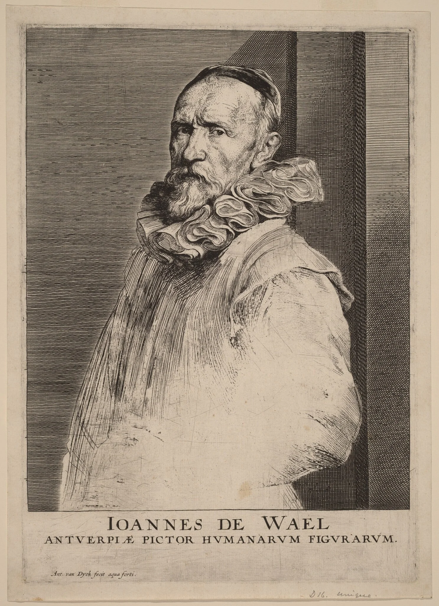 Jan de Wael, by Anthony van Dyck, ink, 1634